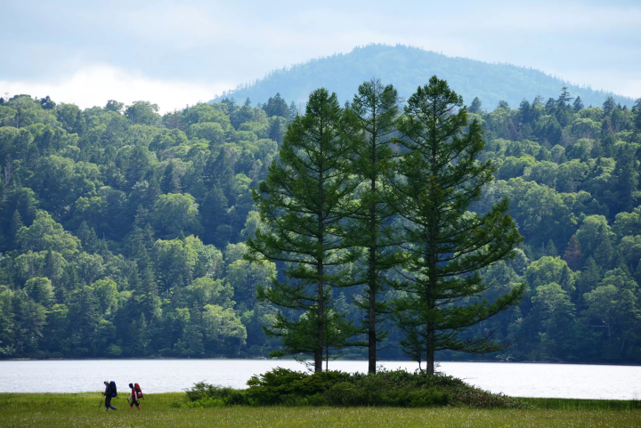 魚沼出發的尾瀨推薦路線｜盡情享受美麗自然的尾瀨之旅