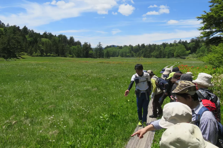 魚沼出發的尾瀨推薦路線｜盡情享受美麗自然的尾瀨之旅