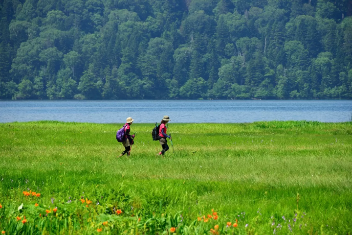 魚沼出發的尾瀨推薦路線｜盡情享受美麗自然的尾瀨之旅
