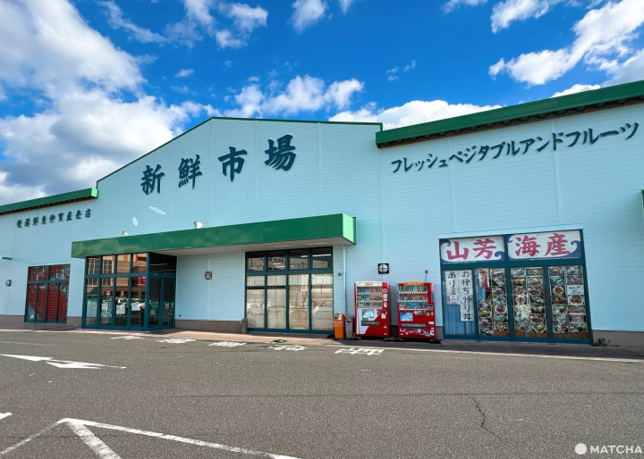 【鳥取・米子】山海之間的鳥取日常：走逛大山山麓、日野川流域與米子城下町