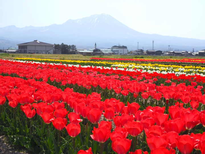 【鳥取・米子】山海之間的鳥取日常：走逛大山山麓、日野川流域與米子城下町