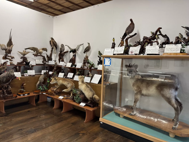 [Gunma, Nakanojo] Experience Japanese history in a wooden school building from the Meiji era