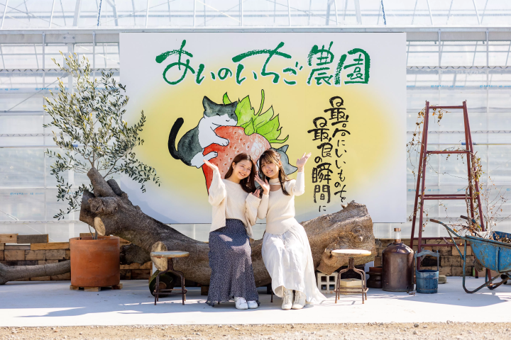 [30 minutes by car from Nagoya] Tokoname strawberry picking and strawberry sweets