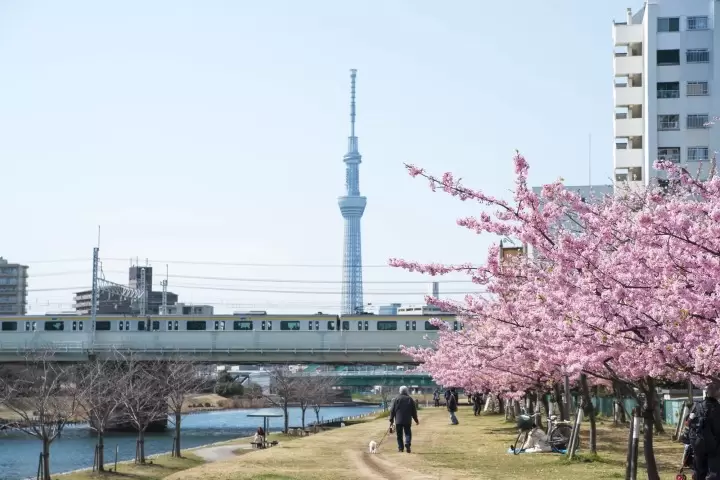 東京スカイツリー