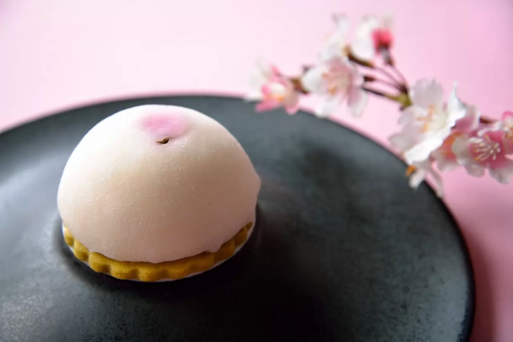 Cherry Blossoms at Hotel Chinzanso Tokyo: Night Sakura Sea of Clouds