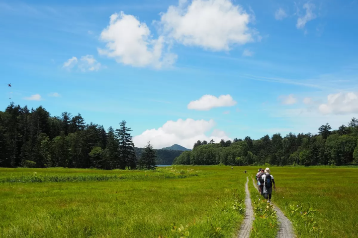 「尾瀨當天來回」初次造訪也很推薦！魚沼一日遊路線