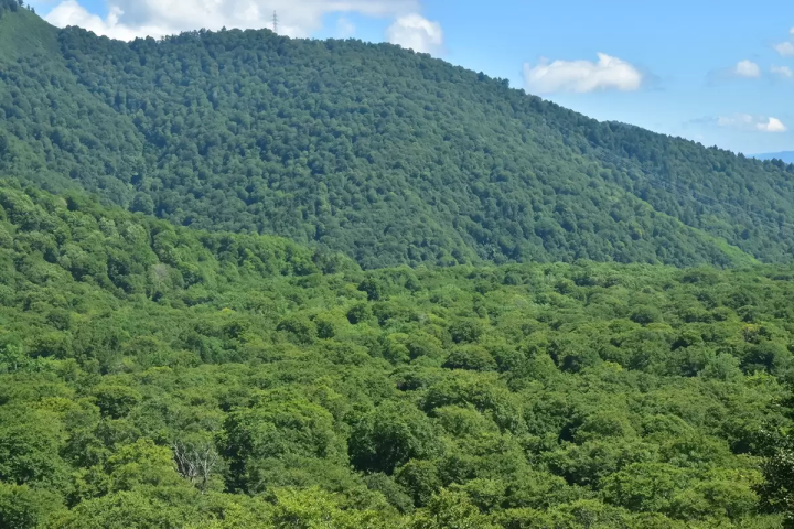 「尾瀨當天來回」初次造訪也很推薦！魚沼一日遊路線
