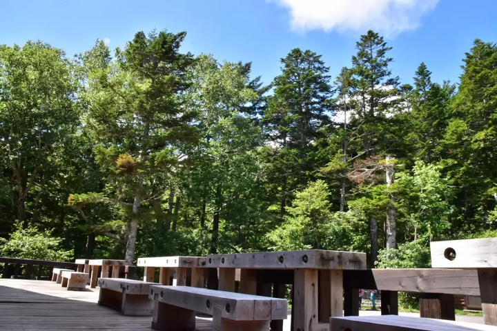 「尾瀨當天來回」初次造訪也很推薦！魚沼一日遊路線