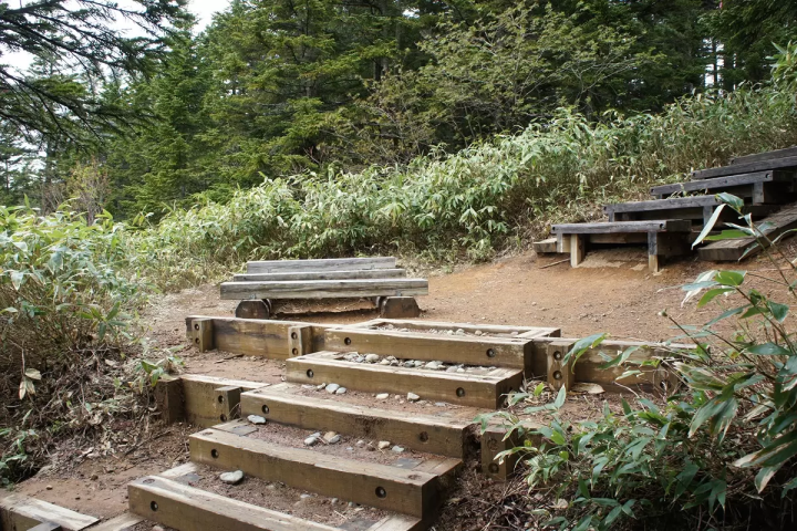 「尾瀨當天來回」初次造訪也很推薦！魚沼一日遊路線