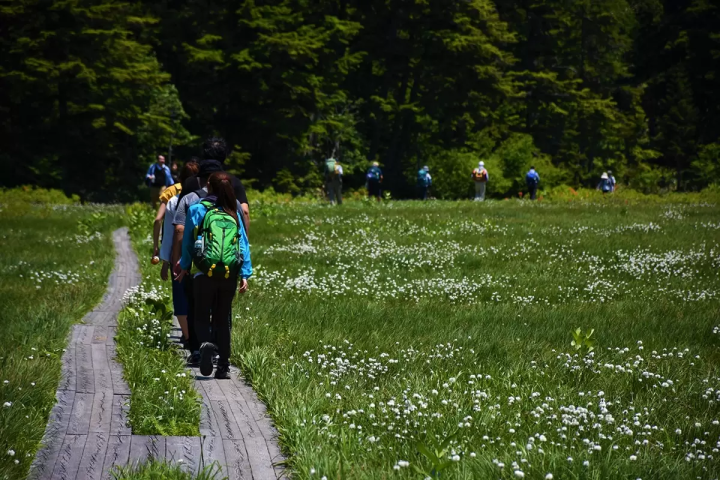 「尾瀨當天來回」初次造訪也很推薦！魚沼一日遊路線