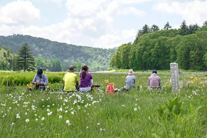 「尾瀨當天來回」初次造訪也很推薦！魚沼一日遊路線