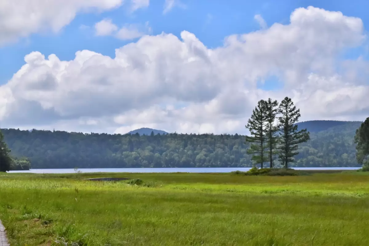 「尾瀨當天來回」初次造訪也很推薦！魚沼一日遊路線