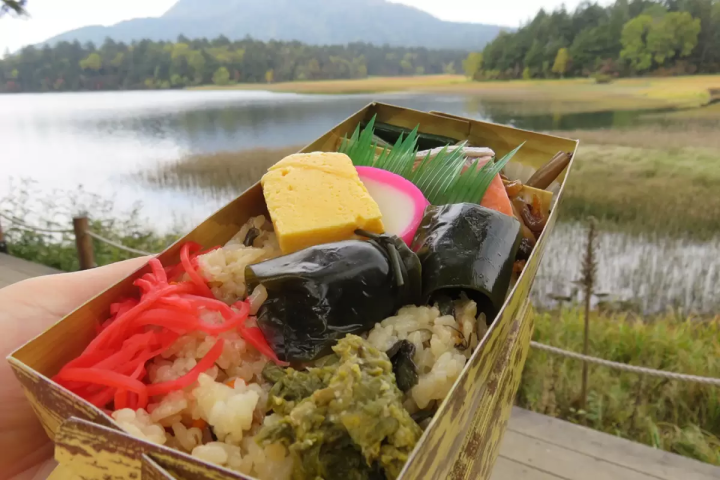 「尾瀨當天來回」初次造訪也很推薦！魚沼一日遊路線