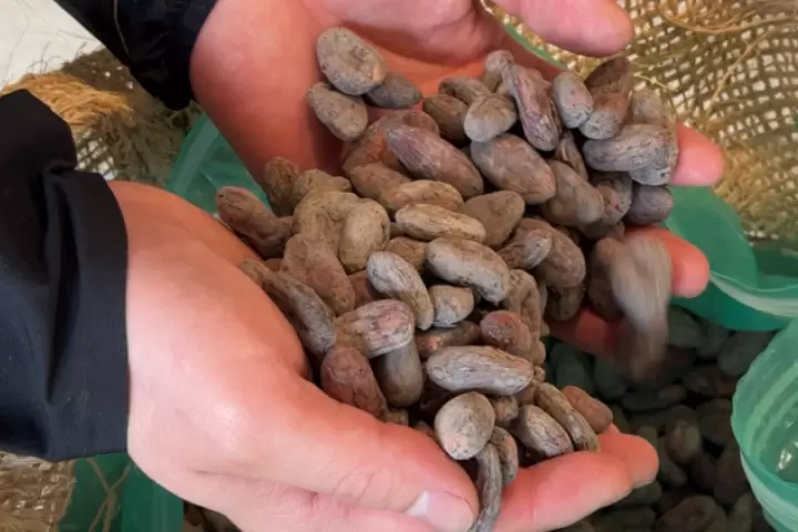 チョコレート好き必見！山梨県北杜市の宿場町で出逢う今行きたい新名所