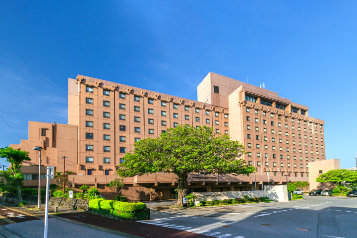 【沖繩】冬季沖繩活動,例如「觀鯨」現已開始售票。