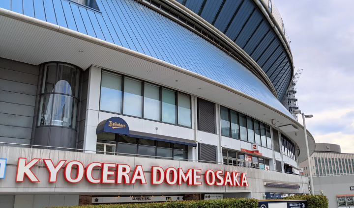 [Spring 2026] 🌸Cherry Blossom Guide to Spots Near Japan’s Pro Baseball Stadiums