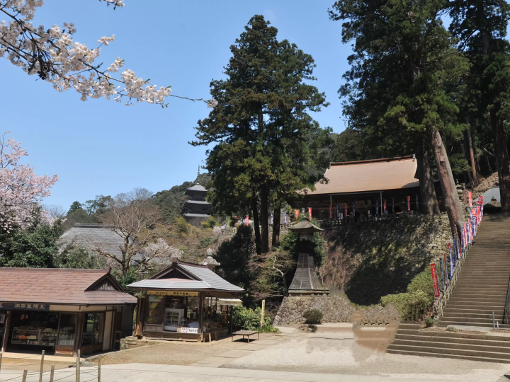 山陰秘境「鷺之湯溫泉」奢華大人旅——沉浸名湯與安來節故鄉的深度探索記