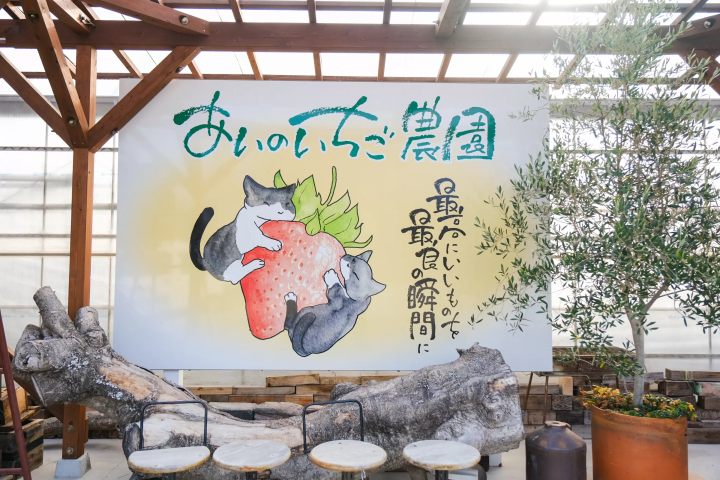 セントレアからすぐ！常滑で楽しむ いちご狩り体験&いちごスイーツガイド