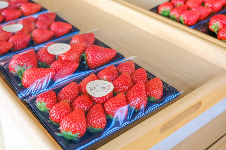 セントレアからすぐ！常滑で楽しむ いちご狩り体験&いちごスイーツガイド