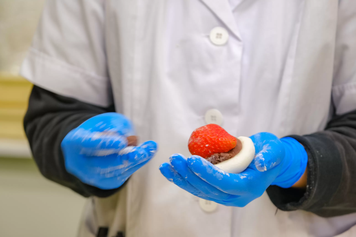 セントレアからすぐ！常滑で楽しむ いちご狩り体験&いちごスイーツガイド