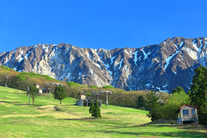 【鳥取・米子】走入大山山麓與日野川上游區域，探訪山間自然風景