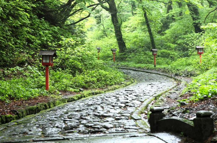 【鳥取・米子】走入大山山麓與日野川上游區域，探訪山間自然風景