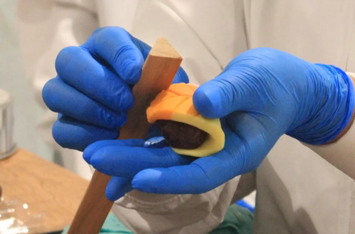 【傳統產業體驗清單】大阪南部和和和歌山的工廠參觀和工藝體驗