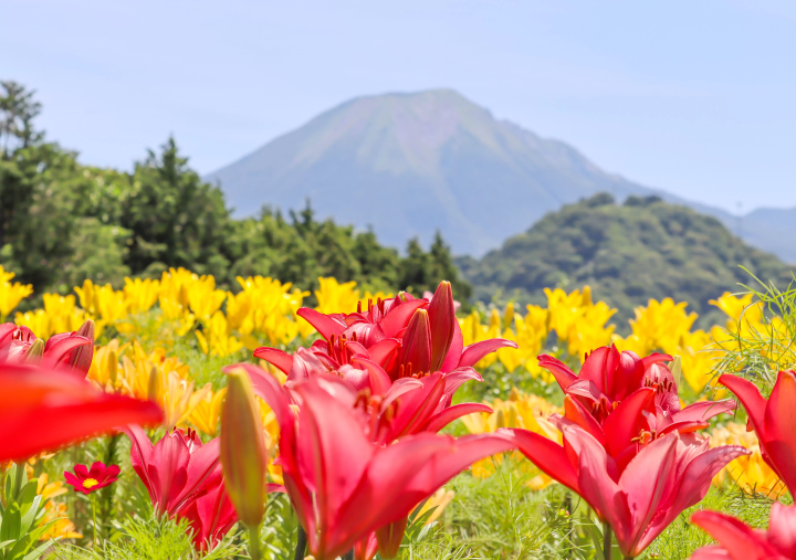 【鳥取・米子】走入大山山麓與日野川上游區域，探訪山間自然風景