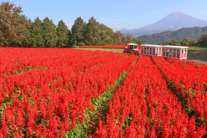 【鳥取・米子】走入大山山麓與日野川上游區域，探訪山間自然風景