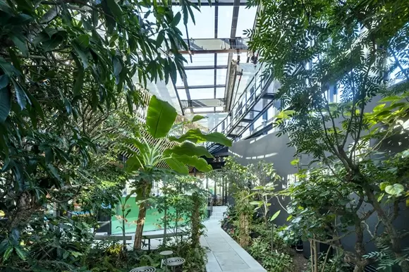 植物園「めぐりの森」