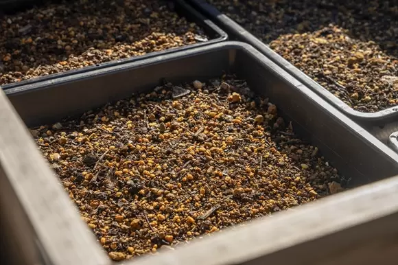 使用燒酎殘渣與咖啡渣製成的堆肥