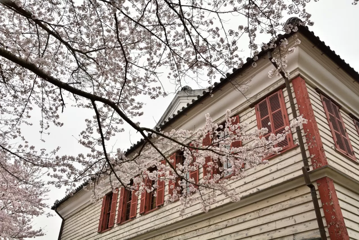 Boso no Mura in spring
