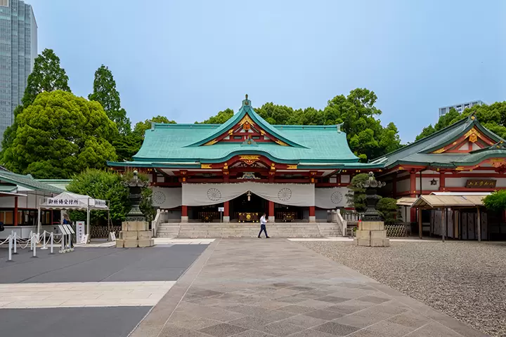 いつもとは少し違ったお花見をしたい方へ！組み合わせで楽しむ桜のご紹介