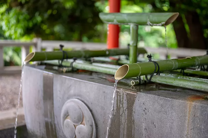 いつもとは少し違ったお花見をしたい方へ！組み合わせで楽しむ桜のご紹介