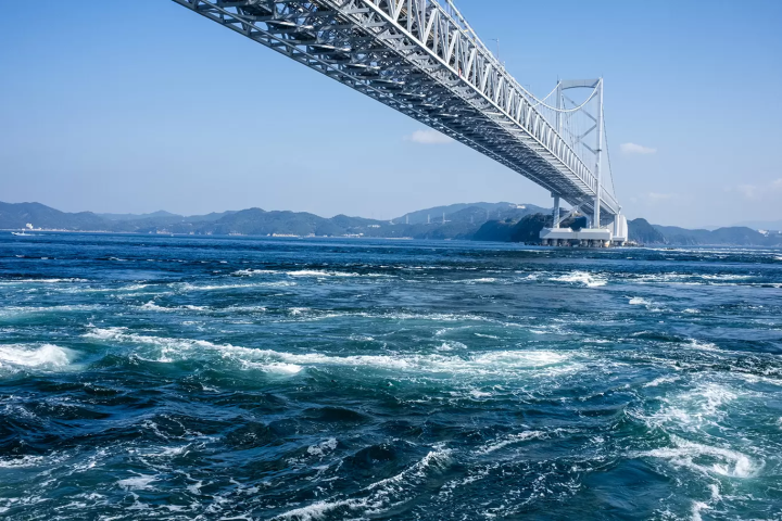 Whirlpool Sightseeing Boat