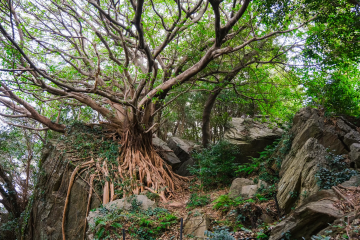 熊本天草下田温泉指南：世界遗产、极致海景与700年秘境汤泉