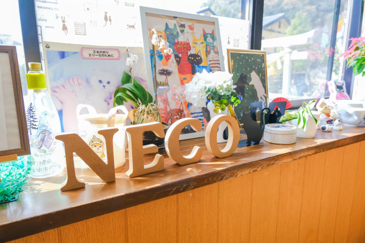 熊本天草下田温泉指南：世界遗产、极致海景与700年秘境汤泉