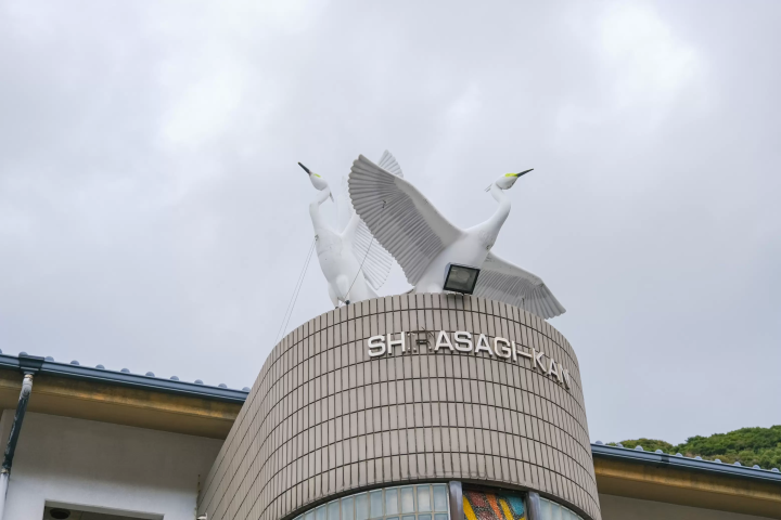 熊本天草下田温泉指南：世界遗产、极致海景与700年秘境汤泉