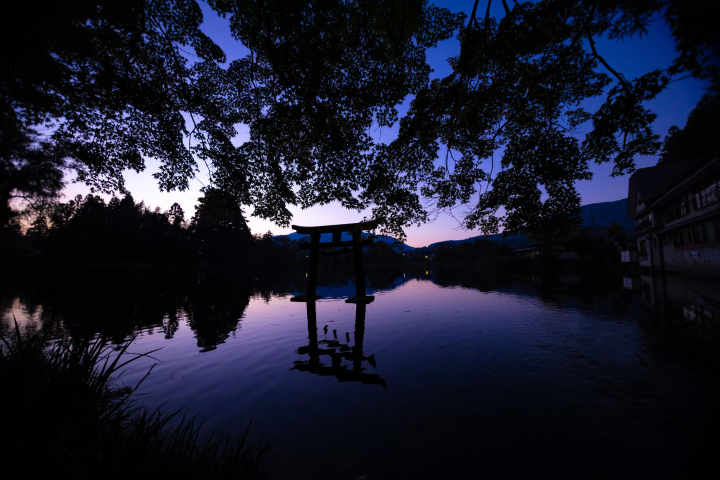 【由布院】前往風景如畫的金陵湖。清晨薄霧籠罩下的夢幻世界。