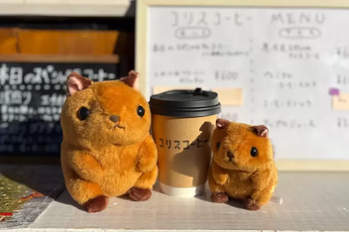 Recommended for a weekend trip! 3 stylish restaurants in Hokuto City , Yamanashi Prefecture , where you can enjoy a sophisticated atmosphere