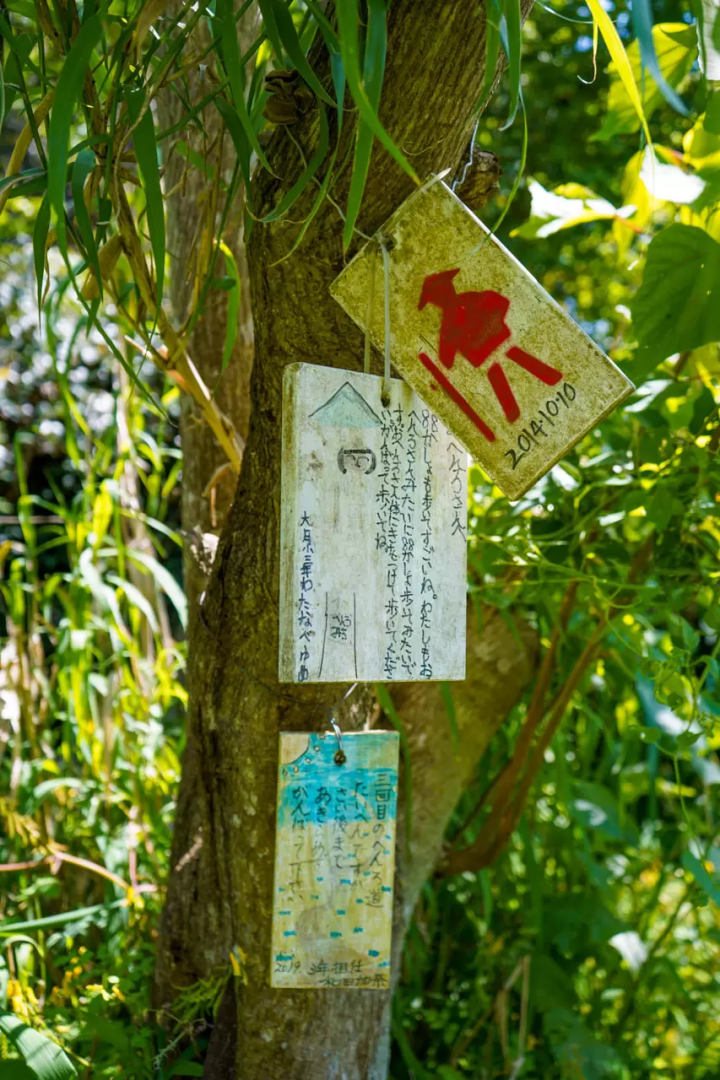 A sign scroll carried by students of Otsuki Elementary School (Photo: Lagoon Racing) 