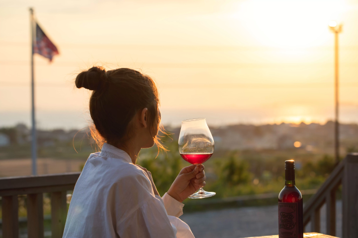 [15 minutes from Chubu Centrair International Airport] A winery restaurant with a spectacular view that blends into the sea and sky