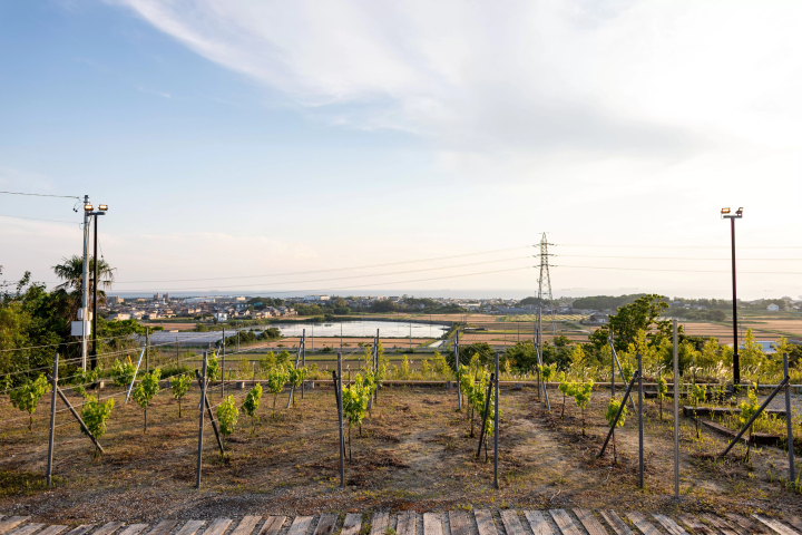 [15 minutes from Chubu Centrair International Airport] A winery restaurant with a spectacular view that blends into the sea and sky