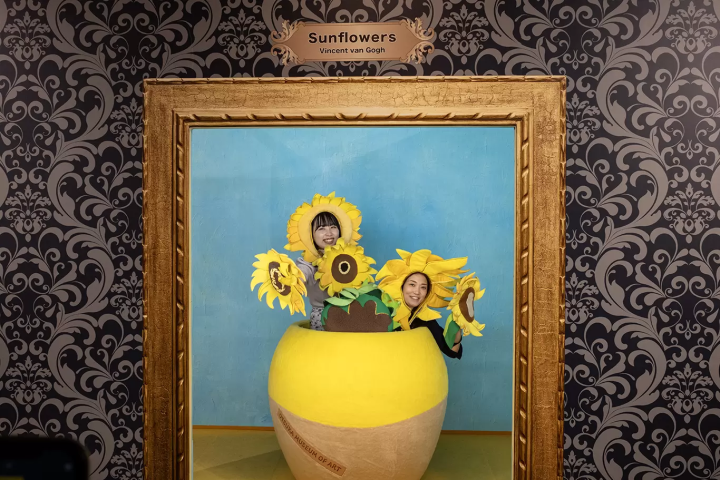 A 3-Day Road Trip from Kansai International Airport: Drive Through Tokushima’s Whirlpools and the Hidden Iya Valley with Mai!