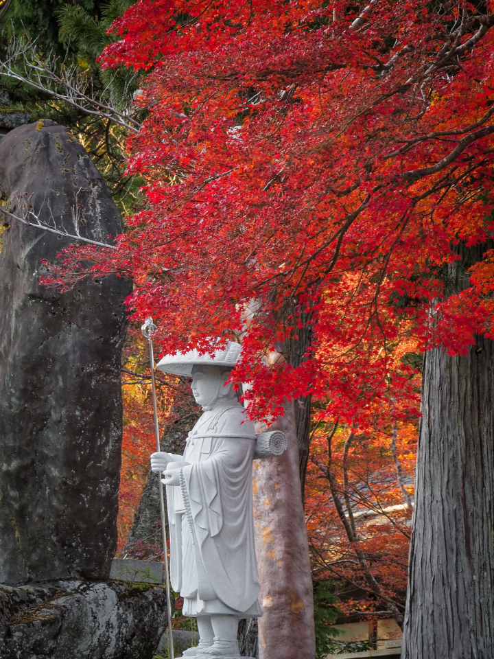 ภาพถ่ายได้รับความอนุเคราะห์จากสมาคมการท่องเที่ยว จังหวัดวาคายามะ 