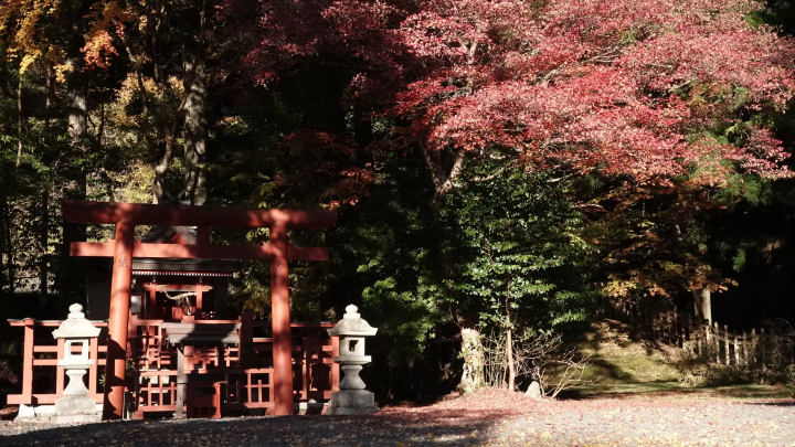 [ป้ายวากายามะ] พักผ่อนอย่างสบายๆ ที่ที่พักในวัดแห่งหนึ่งใน วากายามะ