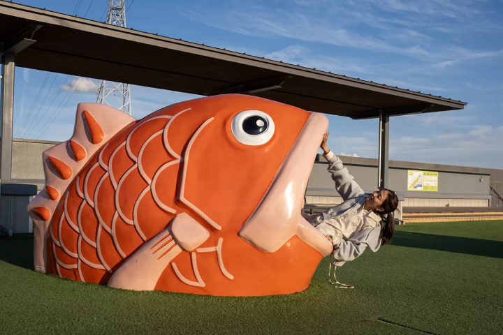 A 3-Day Road Trip from Kansai International Airport: Drive Through Tokushima’s Whirlpools and the Hidden Iya Valley with Mai!