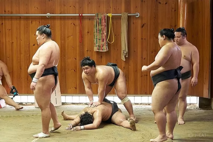 Sumo Experiences in Tokyo and Osaka