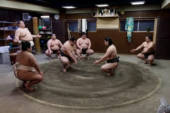 Sumo Wrestling in Osaka and Tokyo