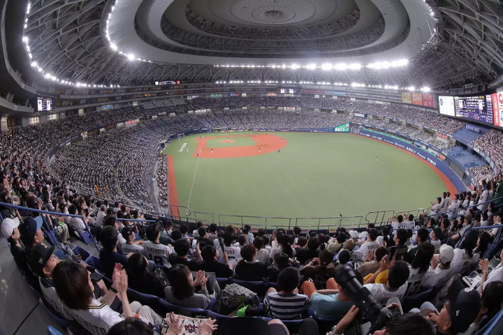 © ORIX Buffaloes 